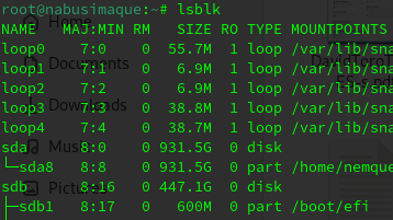 20Feb2024lsblk_e7927.png